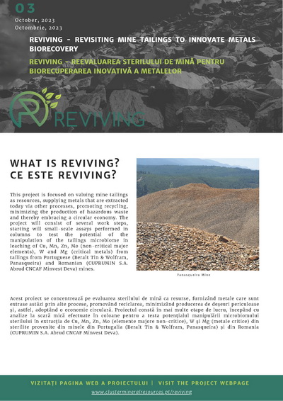 Reviving Newsletter